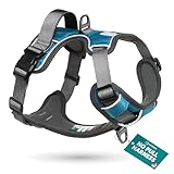 Embark Adventure Dog Harness, Easy On and Off with Front and Back Leash Attachment Points & Control Handle - No Pull Training, Size Adjustable and No Choke (Small - Teal Blue)