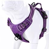 JUXZH Truelove No Pull Dog Harness with Easy Control Handle and 2 Leash Attachments,Reflective Adjustable Pet Vest