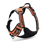 Chai's Choice Best Outdoor Adventure Dog Harness (Small, Orange)