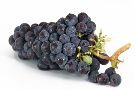 Grapes