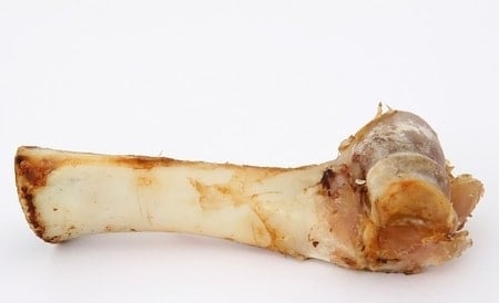 Rawhide bone