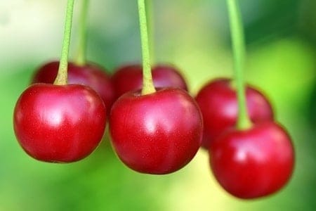 Red cherries