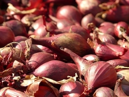 Shallots