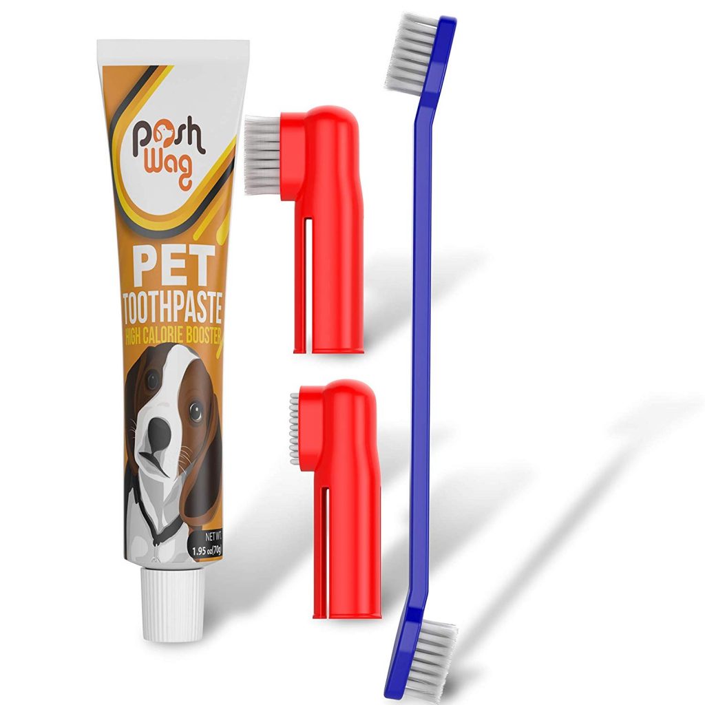 Top 11 Best Toothpaste for Pomeranians Spinning Pom