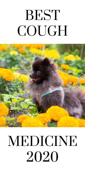 Best cough medicine for dogs with collapsed trachea 2020